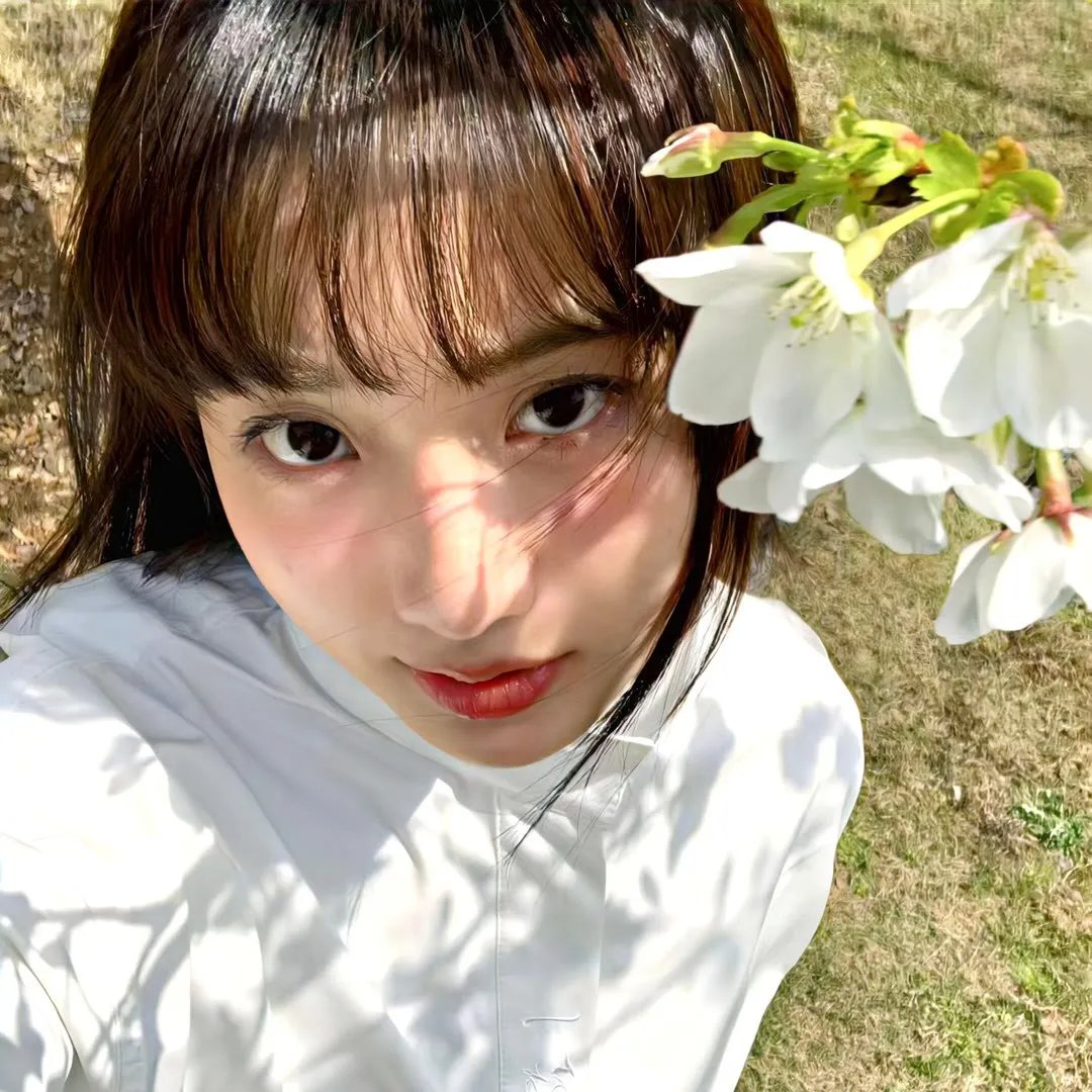 柳绿花红